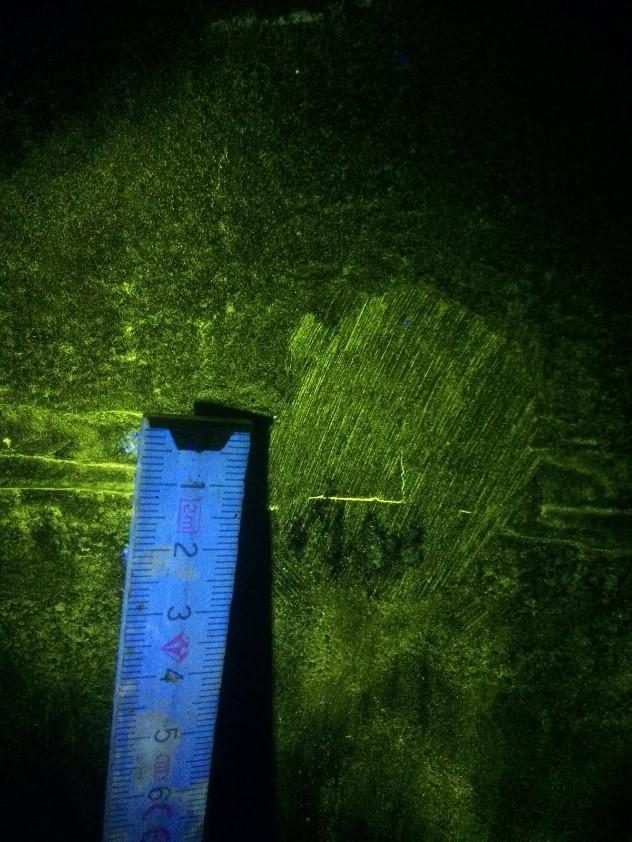 MT: Magnetpulverprüfung